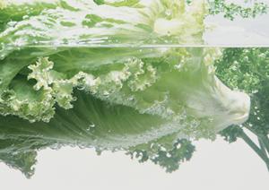 初めてのホストクラブも安心して遊べる